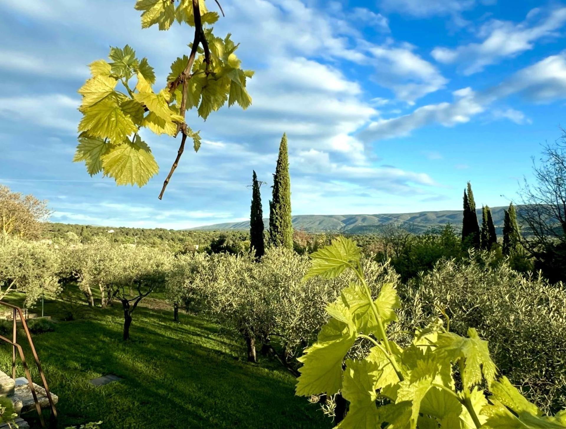 Provence Km28 Gordes Exterior foto