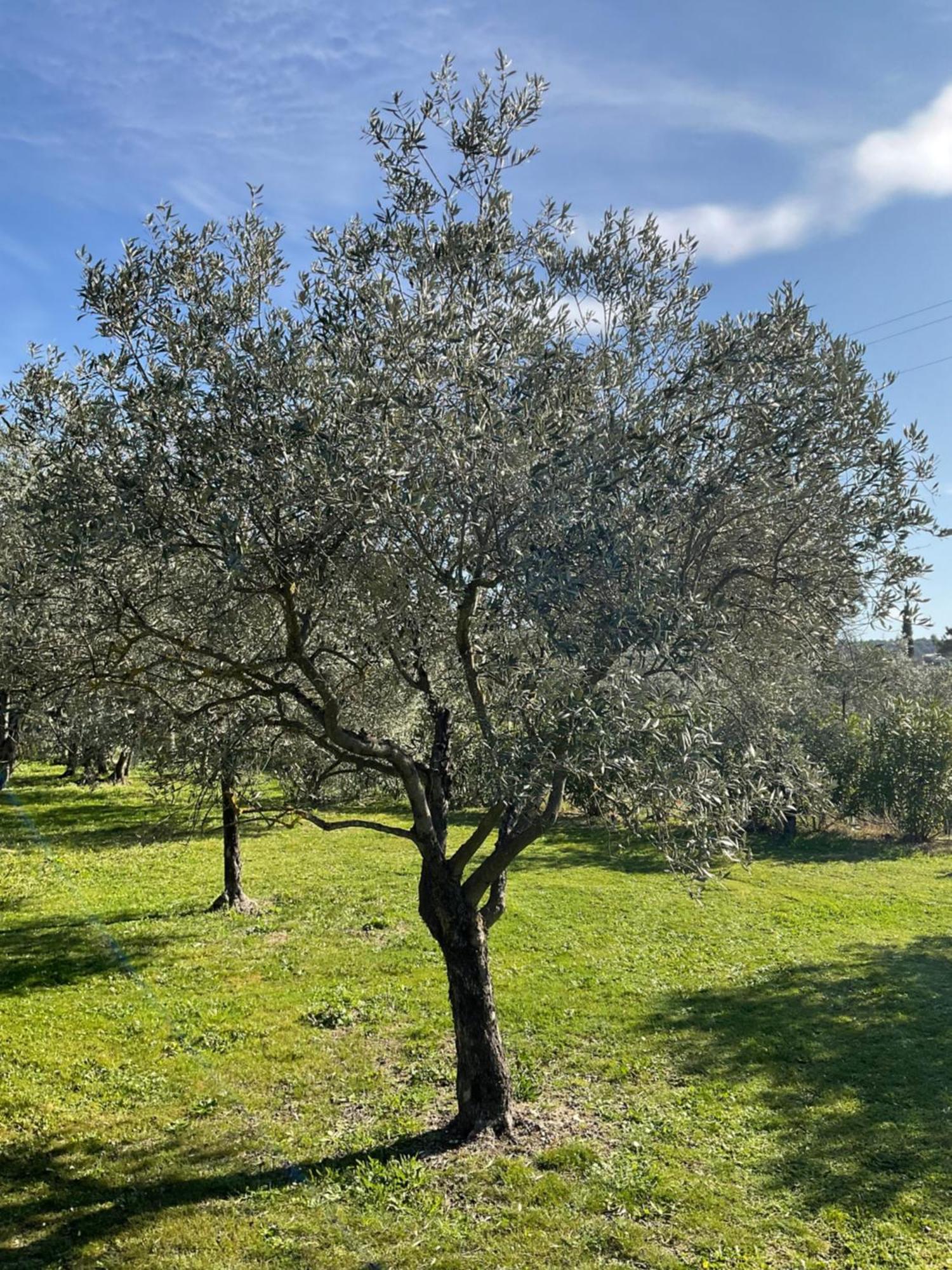 Provence Km28 Gordes Exterior foto