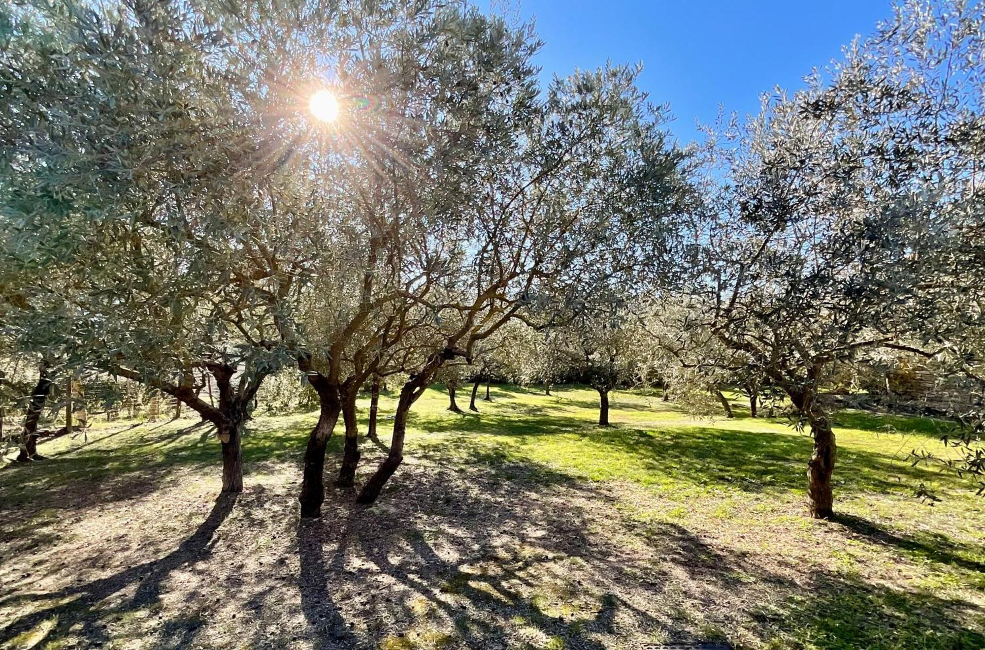 Provence Km28 Gordes Exterior foto