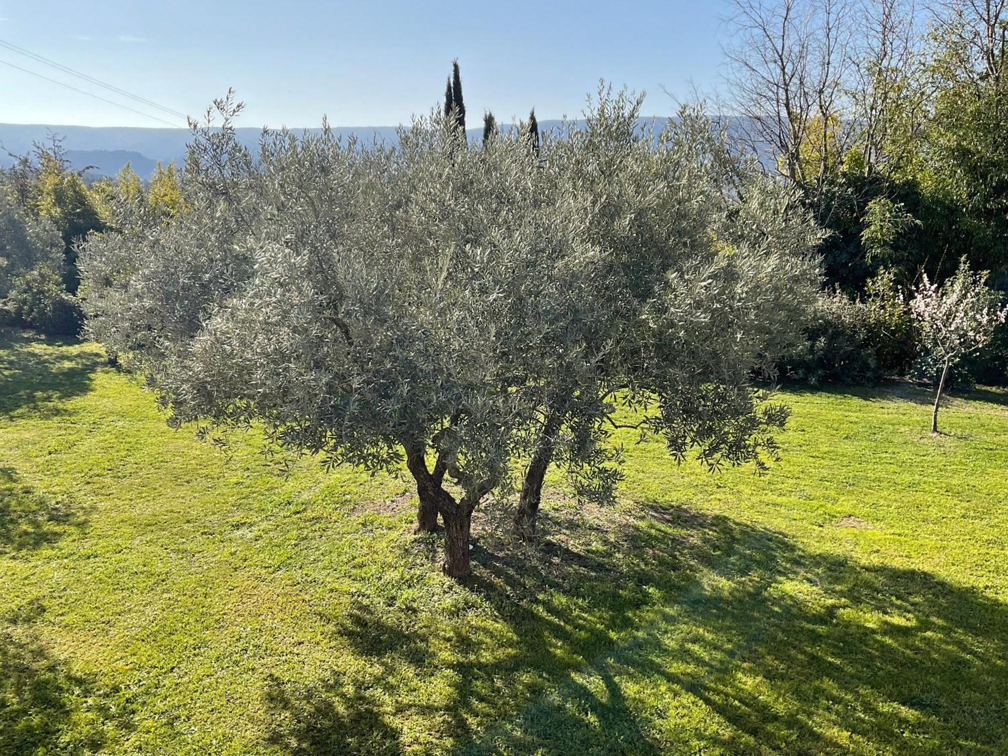 Provence Km28 Gordes Exterior foto