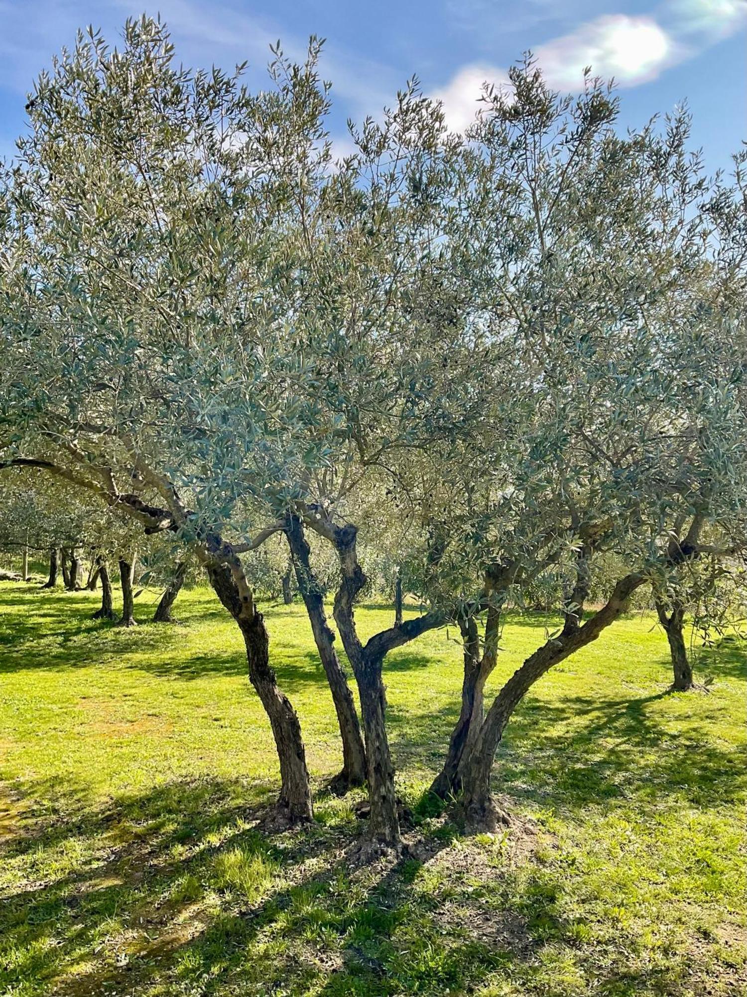 Provence Km28 Gordes Exterior foto